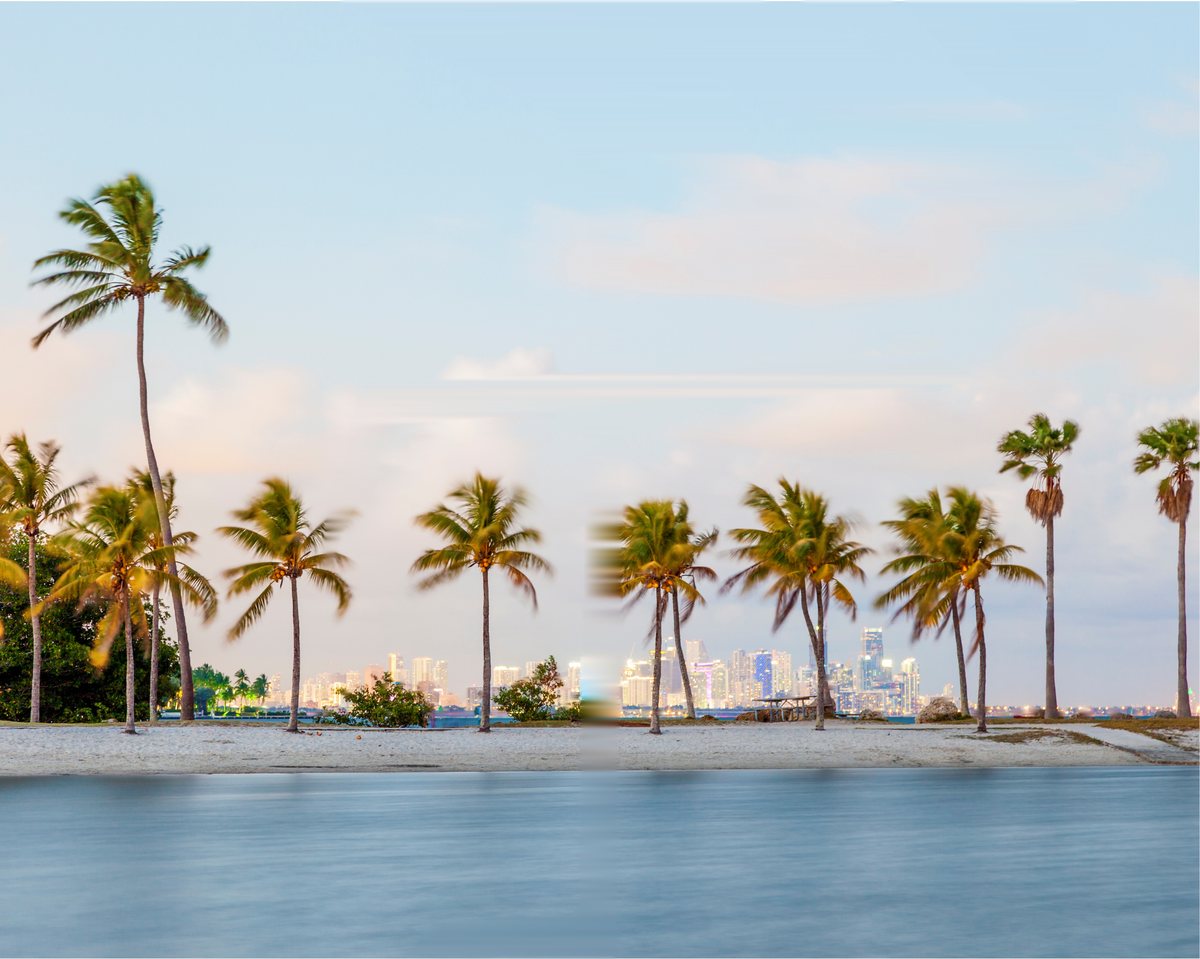 Palm trees on a South Florida beach with the Miami skyline across the bay