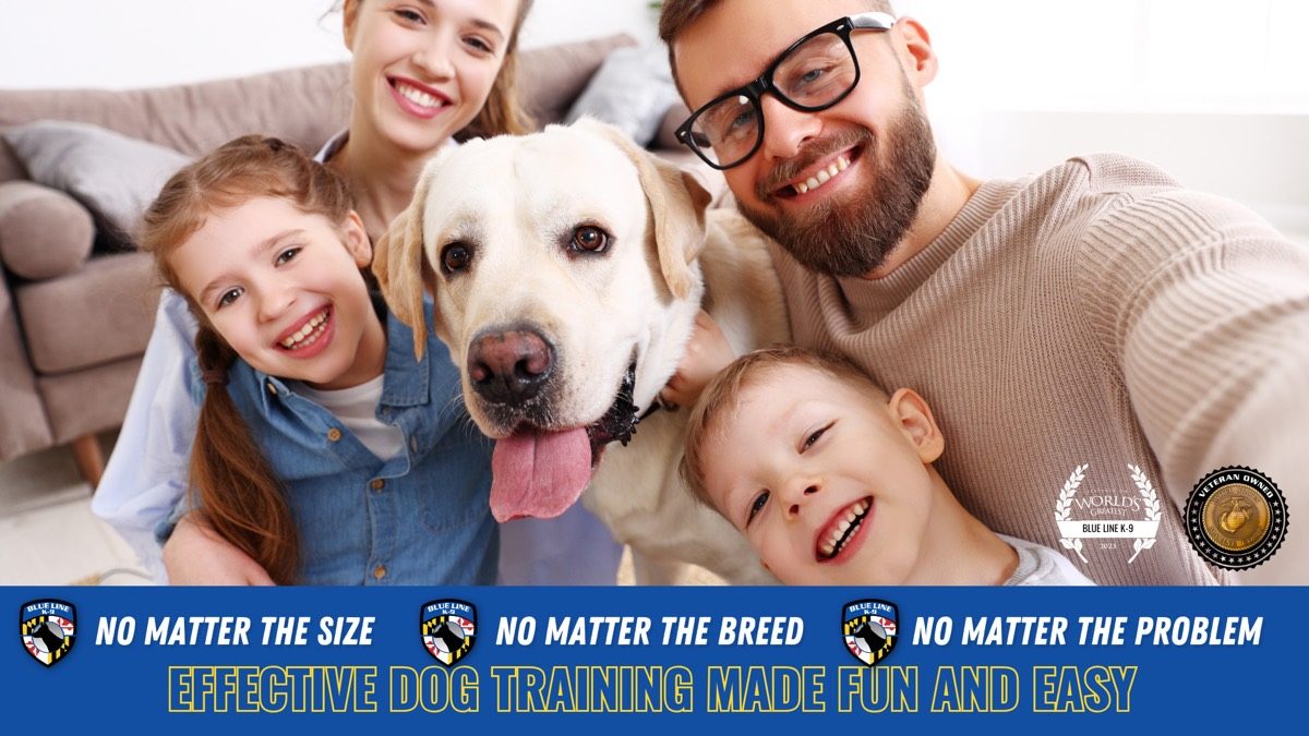 A family and their Labrador enjoying the Platinum drop-off program