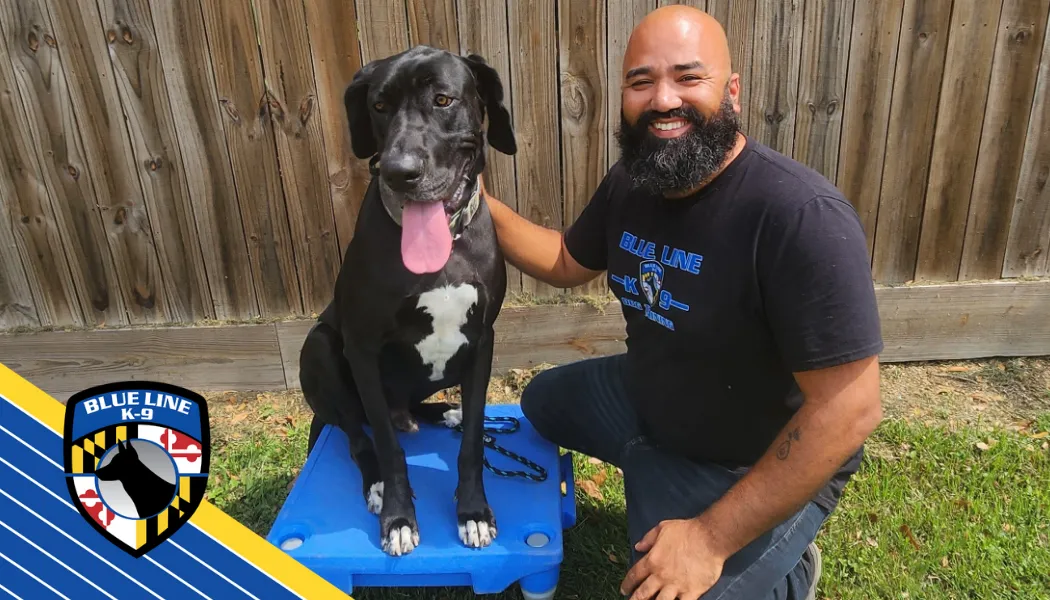 Friendly Blue Line K-9 Katy trainer with a happy trained dog