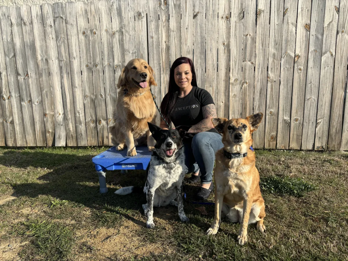Blue Line K-9 JoCo trainer with three happy trained dogs in Garner, NC